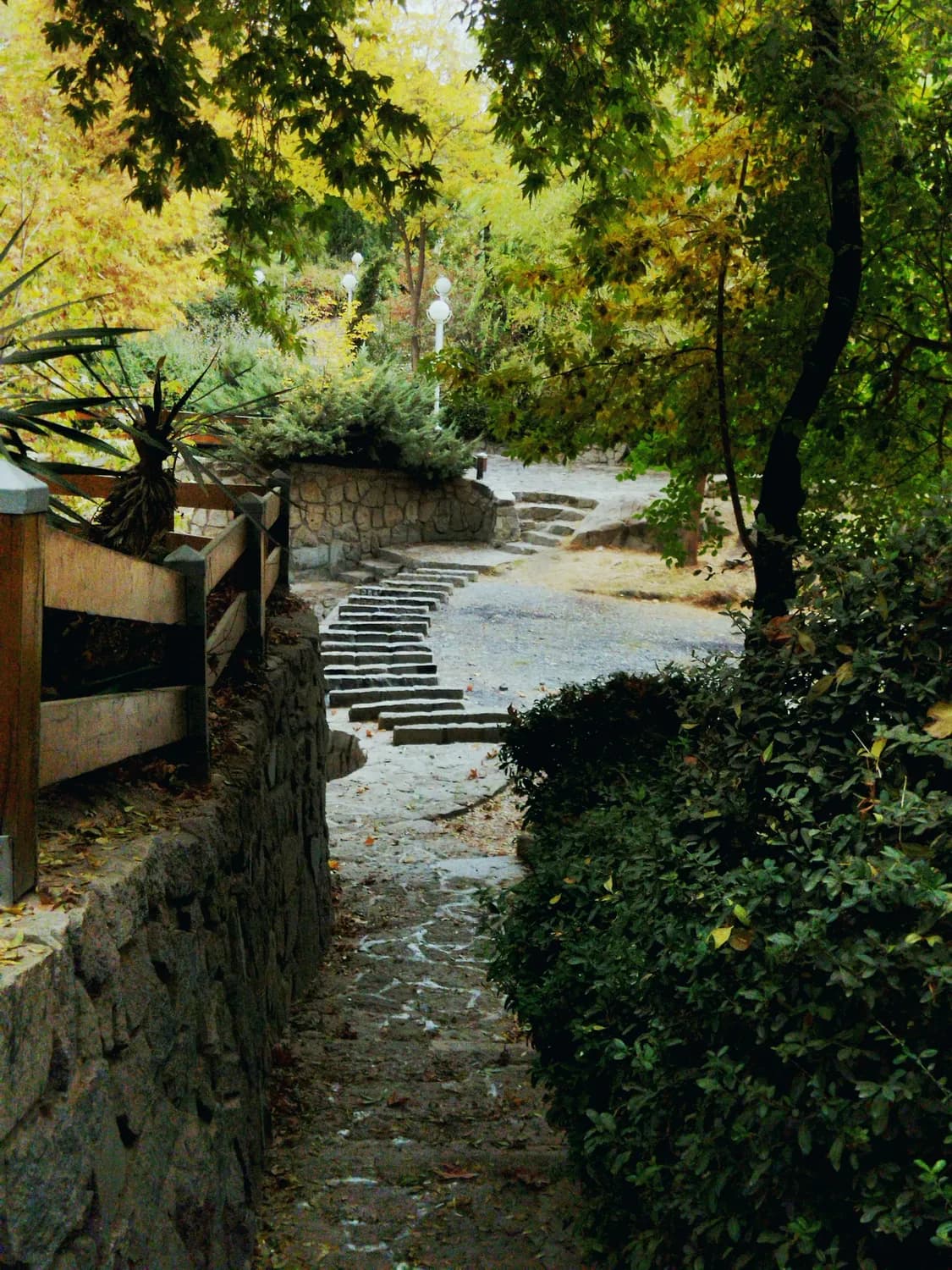 秦岭大巴山探秘：东汉末年的汉中至川地官道