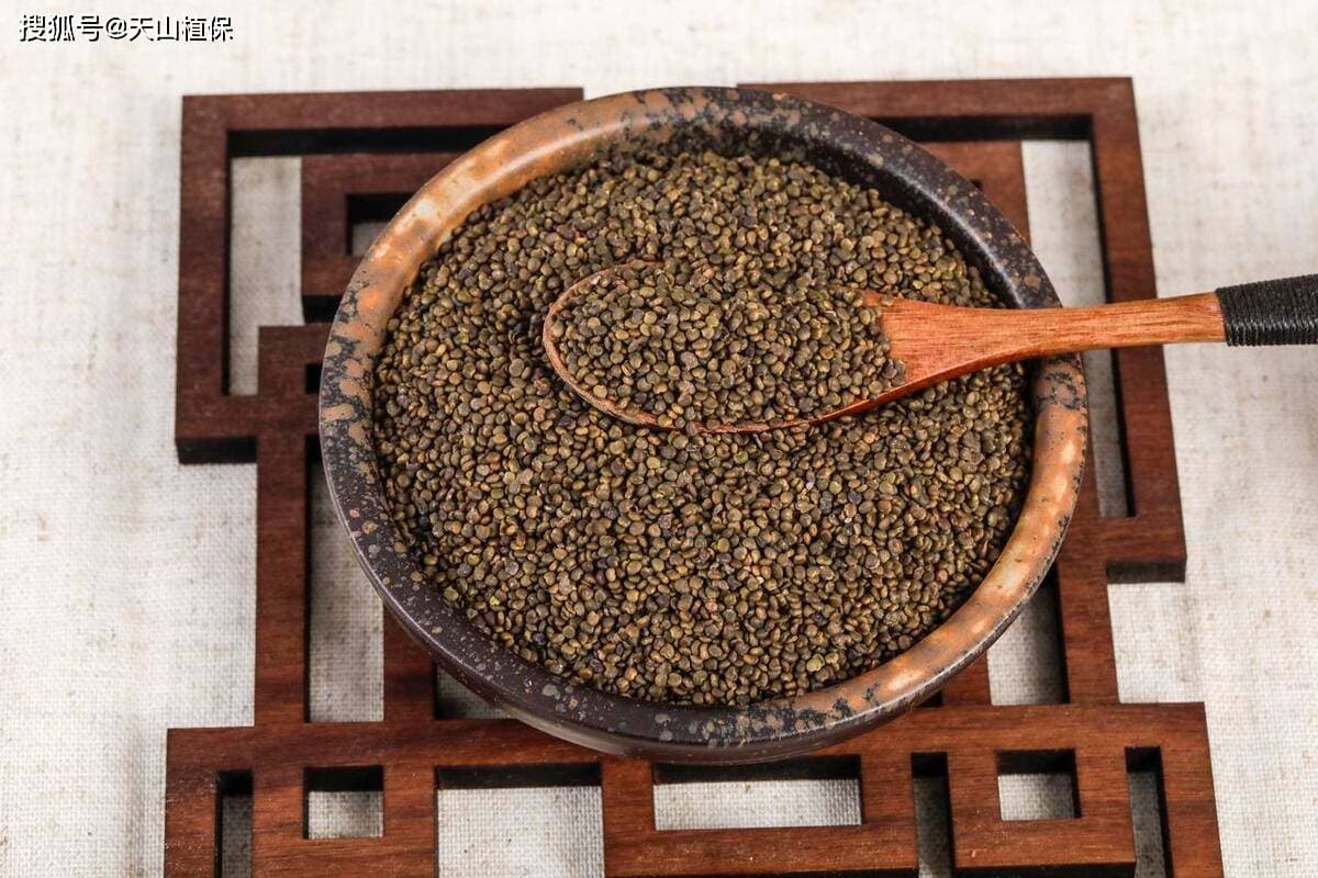 沙苑子种植周期揭秘：一次播种可收获7-10年