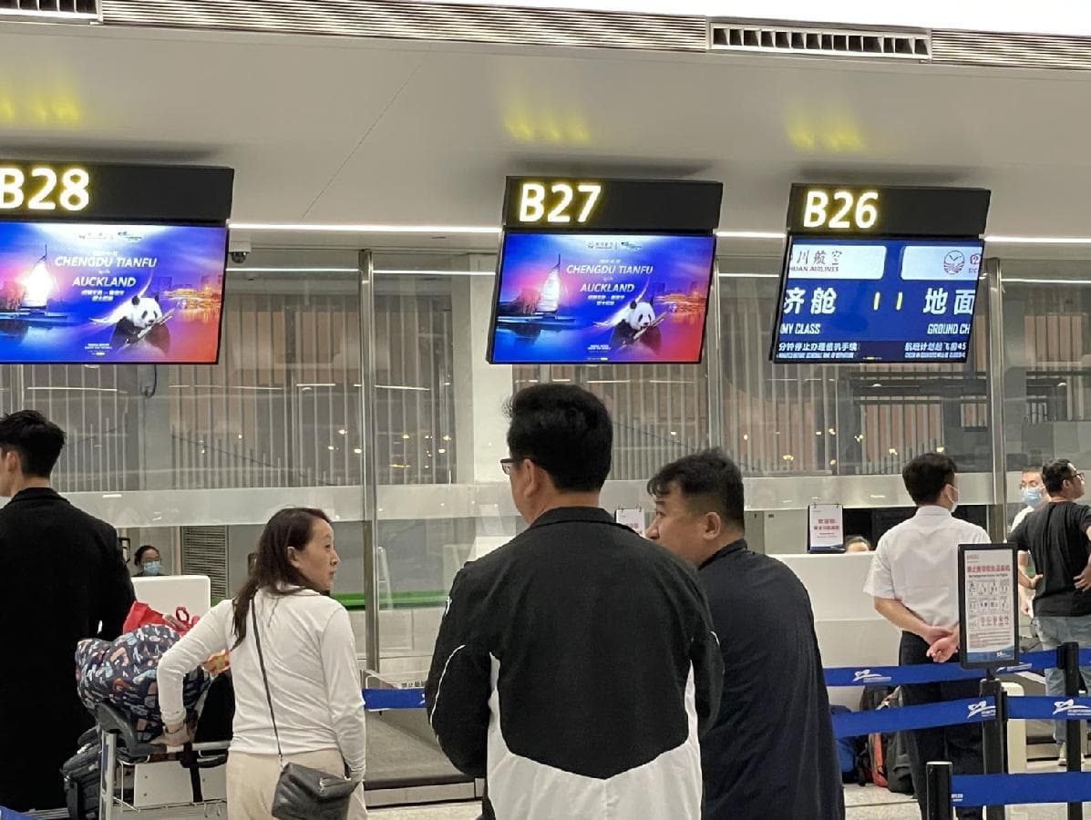 “五年多次签证”升温机票热度 成都已开通3条直飞大洋洲航线