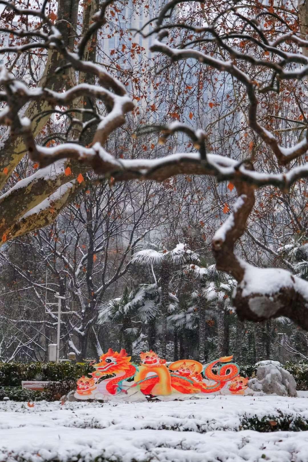 河南进入此轮降雪最强阶段 多地有中到大雪，信阳南部有暴雪
