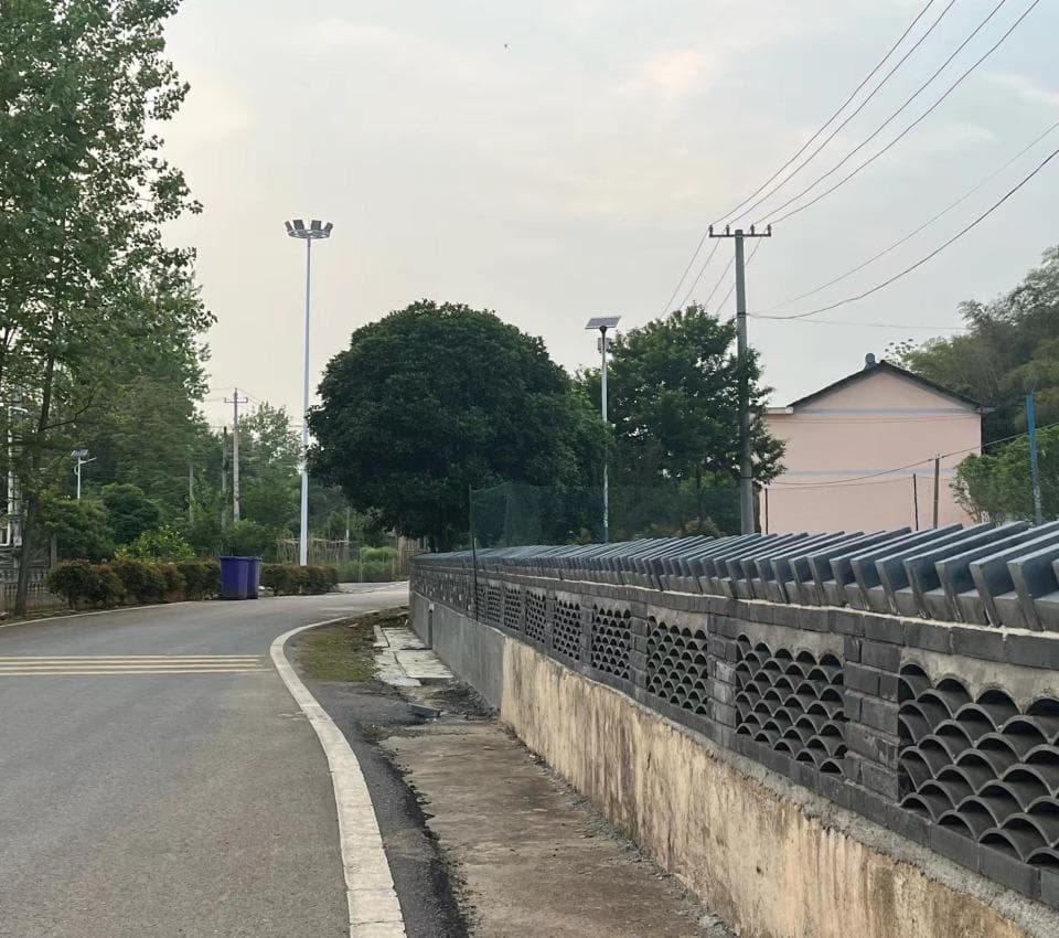 赤壁市独山村：党建引领聚合力 美丽乡村入画来