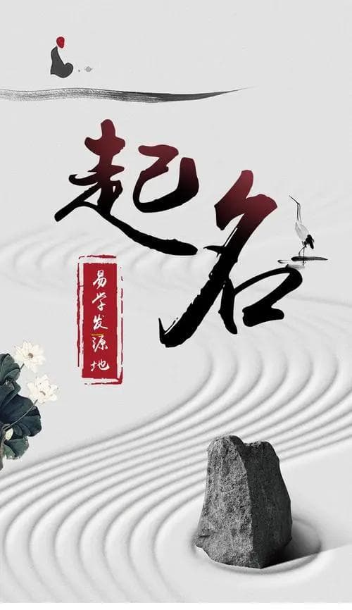 名字分析：探究柯字在姓名中的奥秘