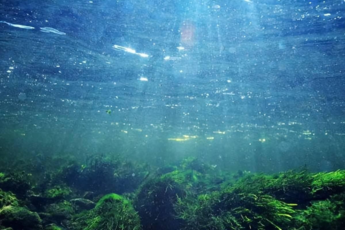 深海有“桥”，深湖无“阶”：解密两种深水世界