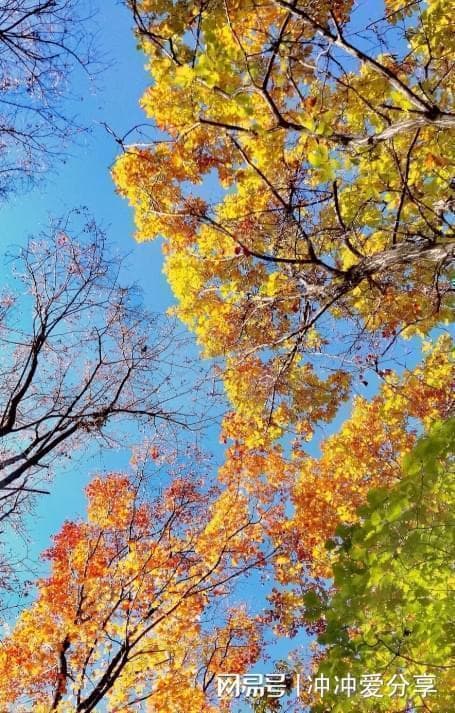 常德全景探秘：湘西古城的风光与文化深度游