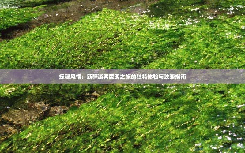 新疆到昆明旅游攻略：跨越千里打卡石林滇池，两种路线详解