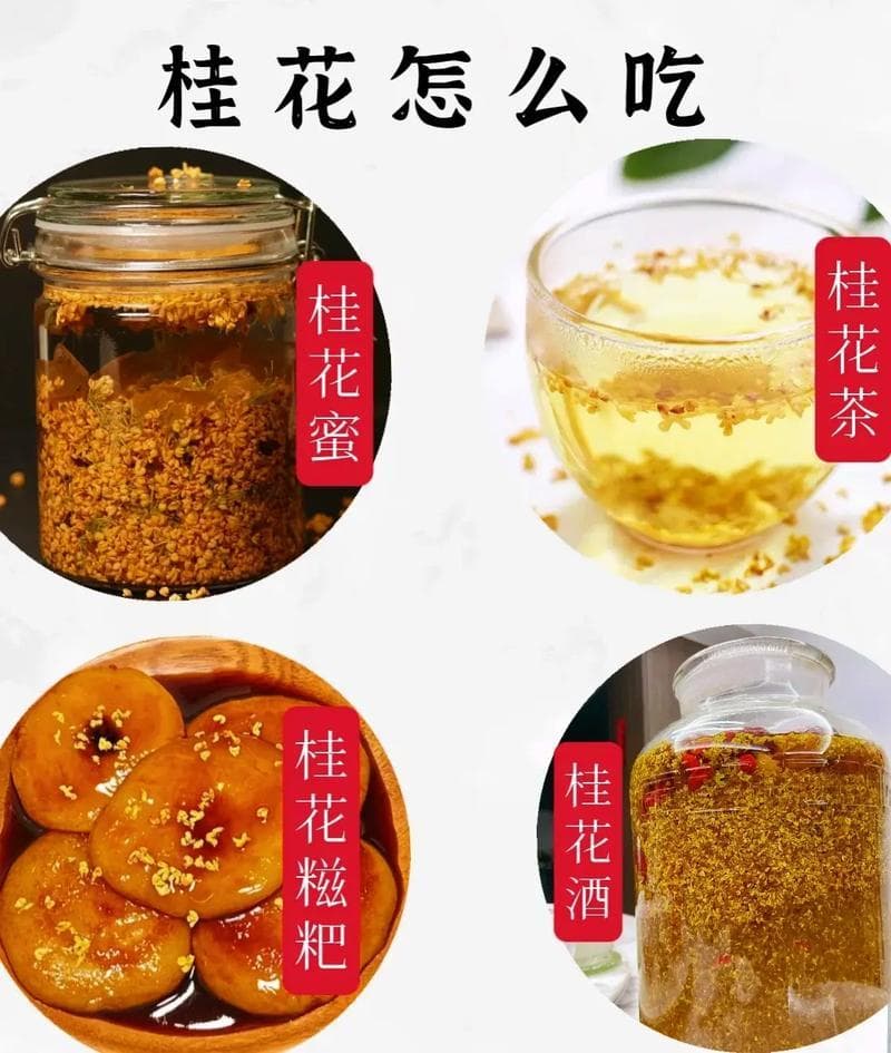 桂花的功效与作用,桂花的概述