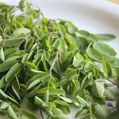 Rosabella Moringa：大自然的奇迹草本