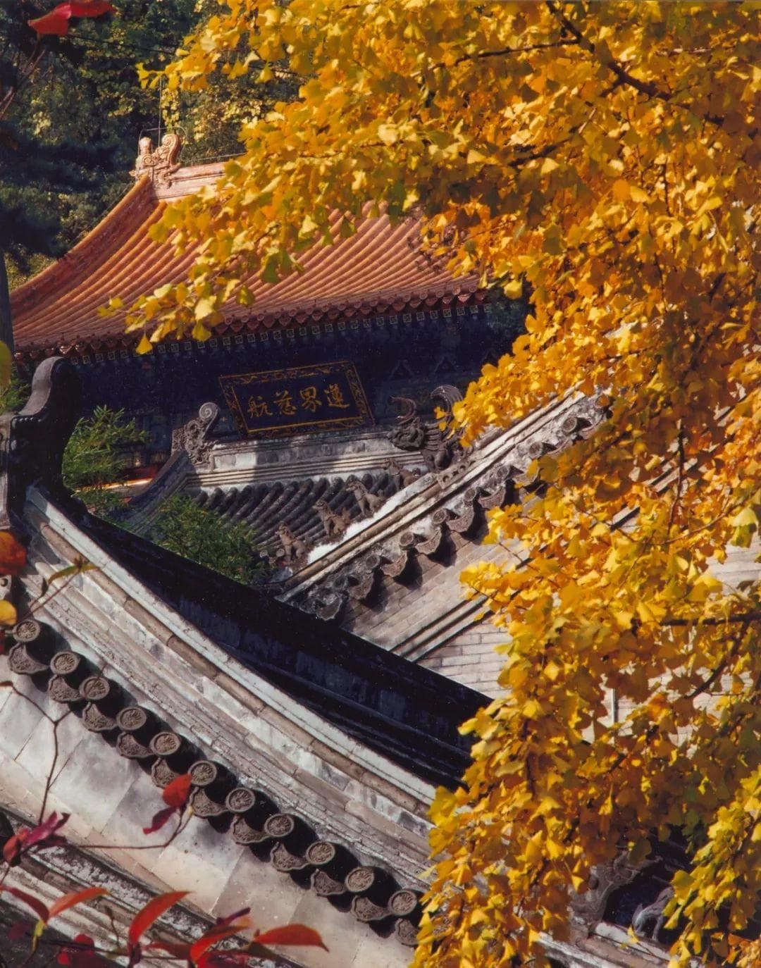 潭柘寺：千年古寺，最负盛名