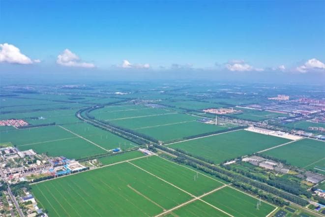 蟹肥稻香“好丰景”：盘锦市稻蟹共生新模式交出新答卷