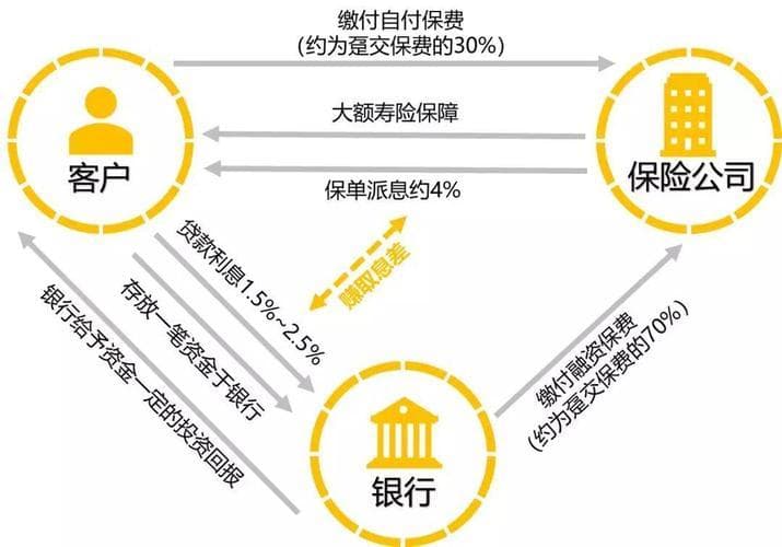 深入解析趸交保险知识点
