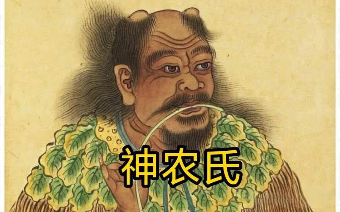 千年茶史：茶叶在中国的演变历程