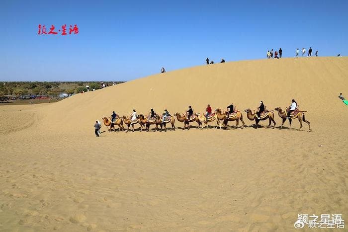 巴州博物馆，楼兰与土尔扈特人东归，荡气回肠