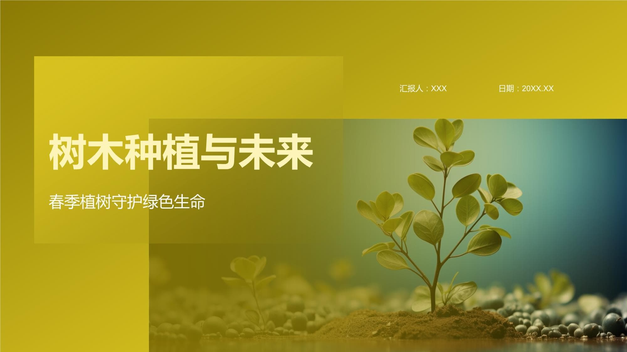 树木种植与未来