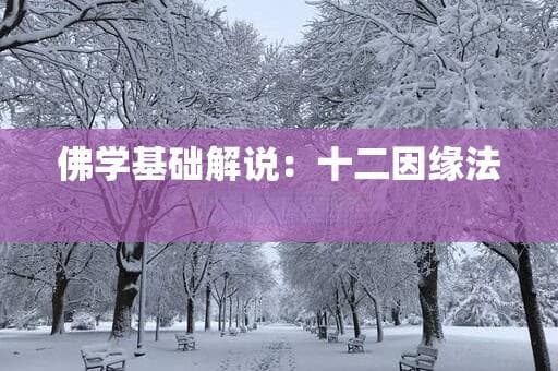佛学基础解说：十二因缘法的主要内容