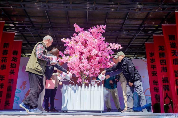 昆明市第二十四届樱花节开幕 “樱花+”开启春城赏樱新体验