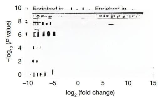 科学家发现，巨噬细胞会根据吞噬的细菌死活启动不同“消化”进程