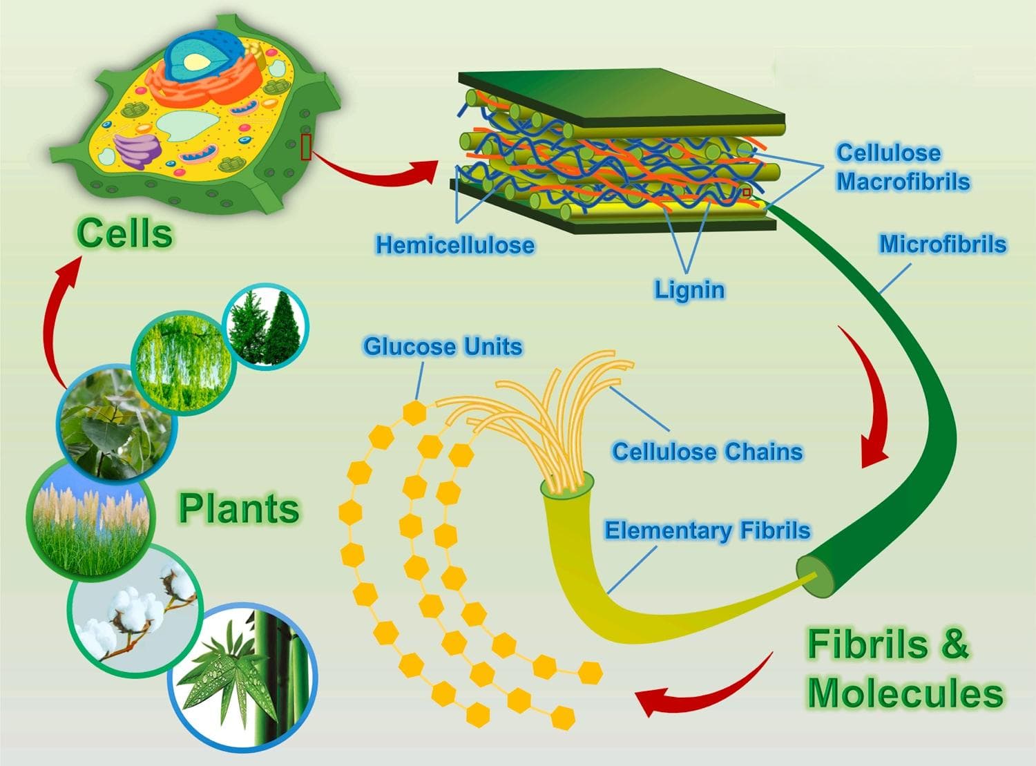 纤维素及其衍生物在油田中的应用
