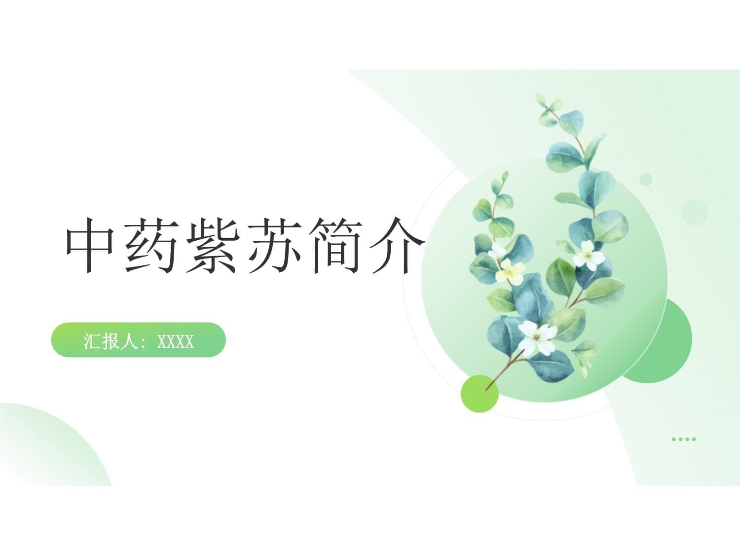 中药紫苏简介