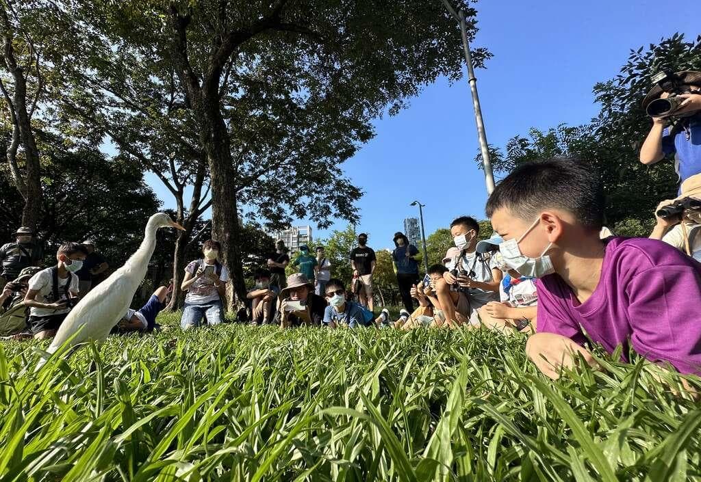 生态探索 发现城市自然野趣