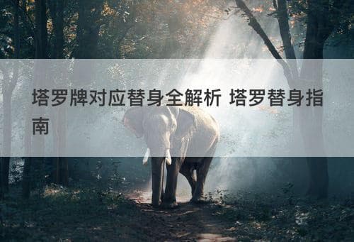 塔罗牌对应替身全解析：JTR替身塔罗牌的魅力与玩法