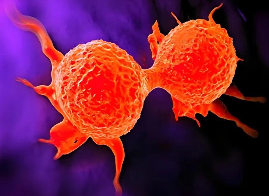 中国科学技术大学：揭示乳腺癌治疗有效策略