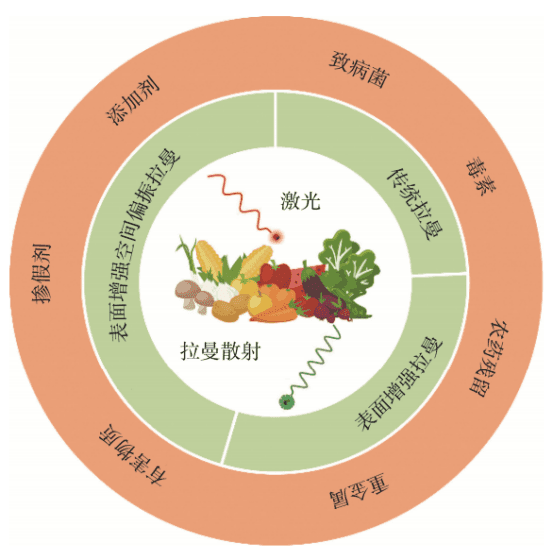 拉曼光谱在食品安全检测中的应用