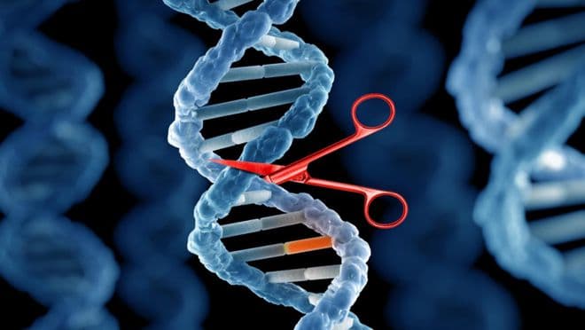 Cell｜CRISPR基因编辑技术的过去、现在和未来
