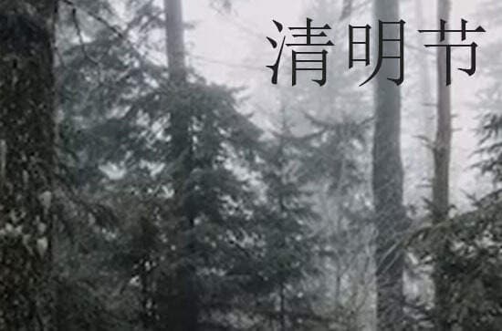 清明扫墓用什么花  清明扫墓的文化内涵