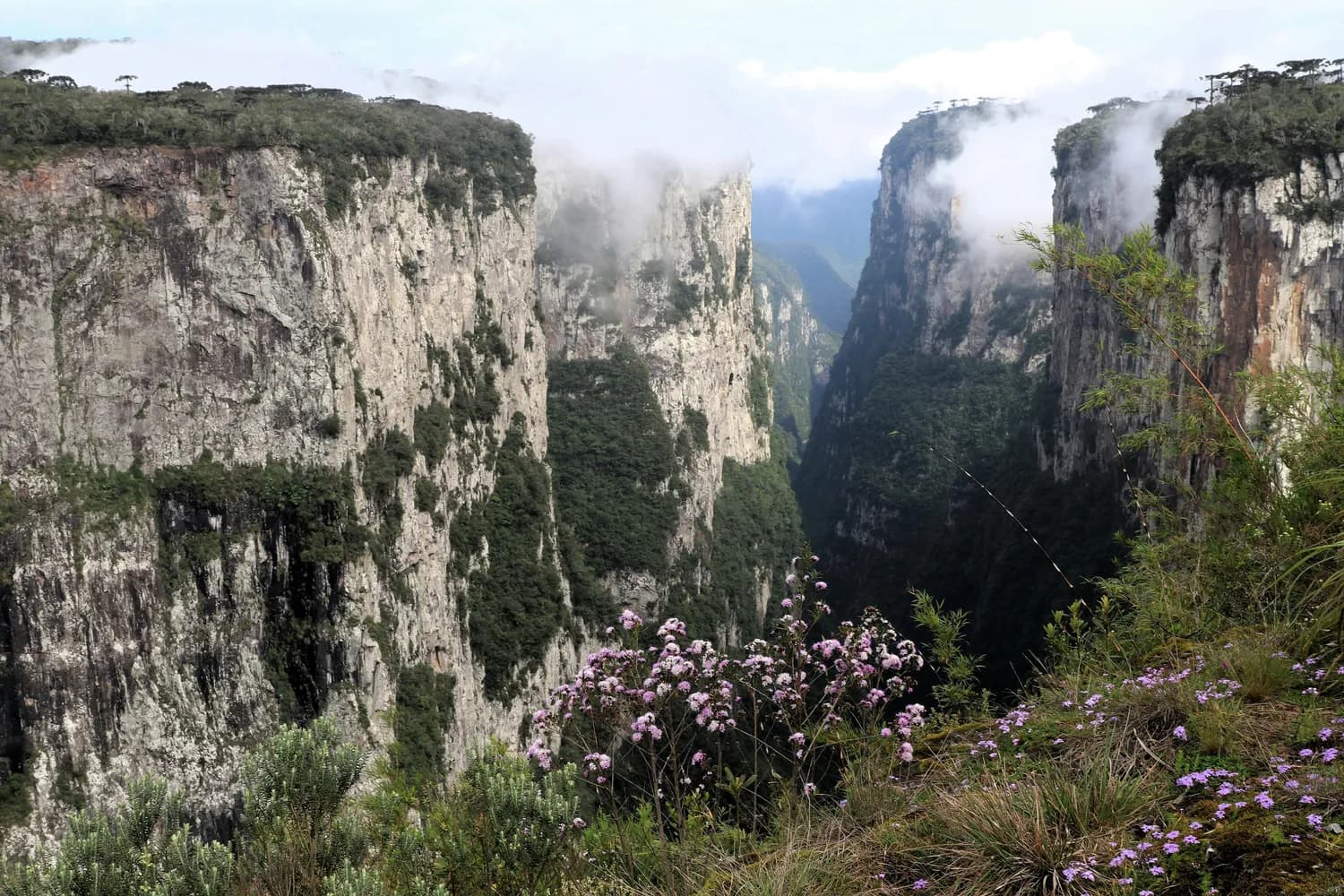 太行山大峡谷自驾攻略：三大景区游览与实用贴士