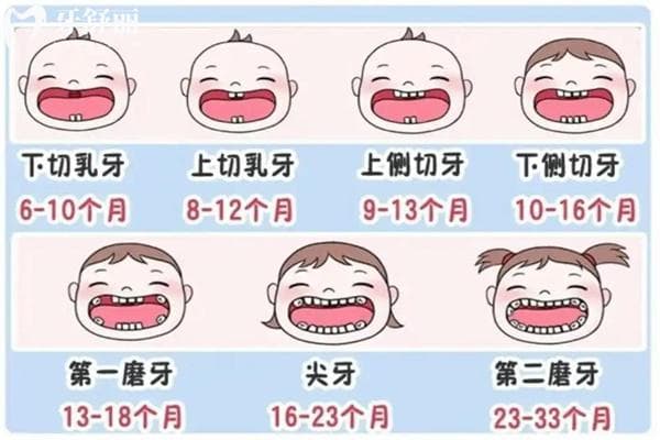 乳牙磕掉了一小块怎么办？新手宝爸宝妈必学的乳牙护理知识总结别错过