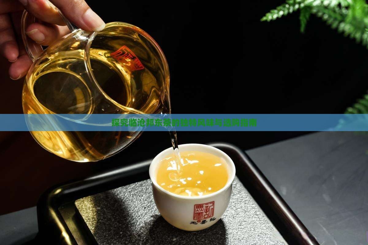 探究临沧邦东茶的独特风味与选购指南