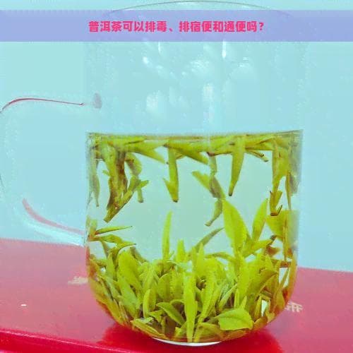 普洱茶可以排宿便和通便吗？