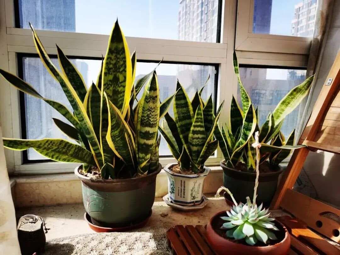 四种行为暴露虚伪人：从当面友好到背后算计