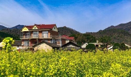 音乐与生活的节奏：探索和谐共生的可能