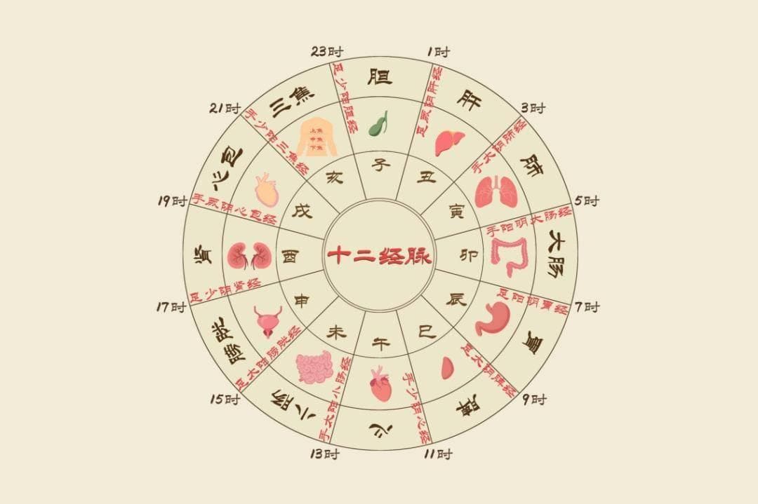 十二时辰养生法｜巳时：补益脾气助运化