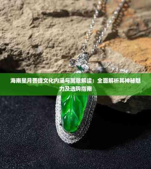 海南星月菩提文化内涵与寓意解读：全面解析其神秘魅力及选购指南