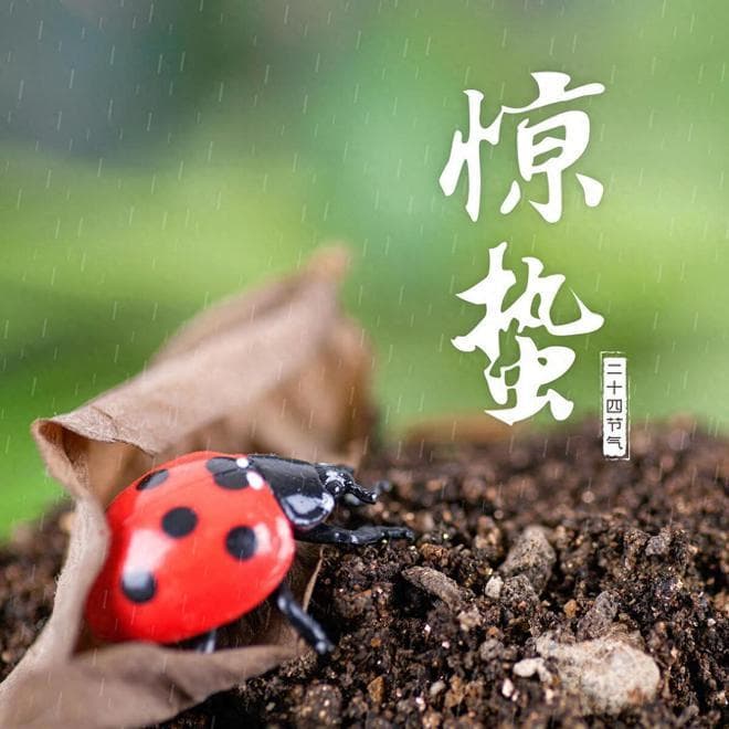 惊蛰现三象，农民要发愁？详解惊蛰时节的异常气候与应对之道