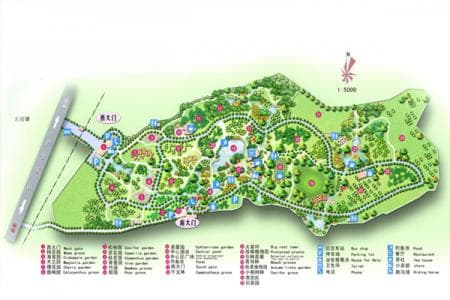 成都植物园：春日赏花胜地，AAAA级景区