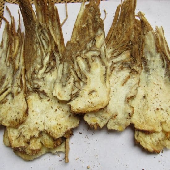 当归的功效与作用：常见中药，具有补血活血，调经止痛，润肠通便的功效