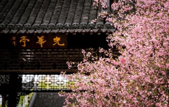 一秒沦陷！南京8个绝美古风地，刻在骨子里的浪漫，重回金陵盛世