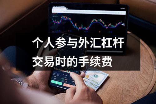 个人参与外汇杠杆交易时的手续费