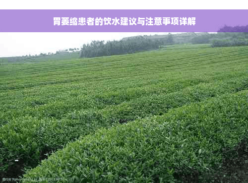 萎缩性胃炎患者的饮水指南：从好处到注意事项的全面解析
