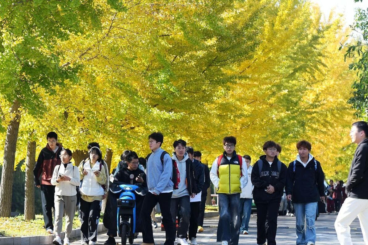 大学生如何系统规划考公之路？