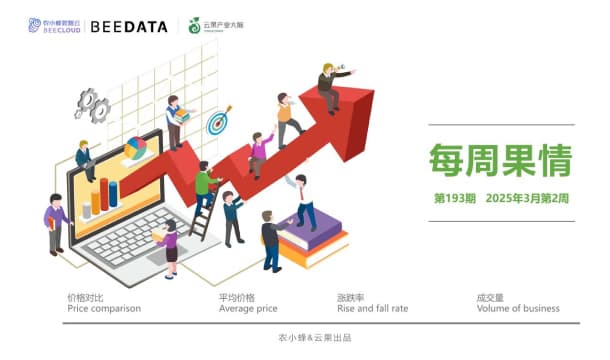小蜂观察：云南省昌宁县竹产业简析
