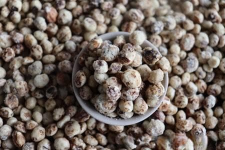 油莎豆：粮油安全可持续发展的新希望