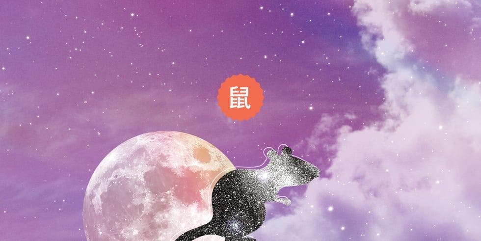 2024年腊月十二生肖运势：猪迎财富机遇，狗桃花运佳