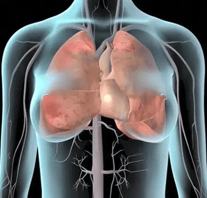 从小牛胸腺提取的免疫调节药——胸腺肽肠溶片，该如何正确服用？