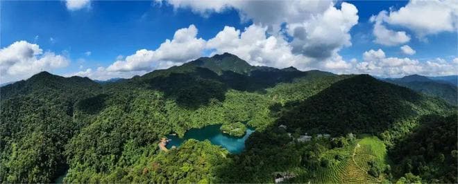 肇庆星湖研学项目获评广东优秀案例，年接待学生超130万人次