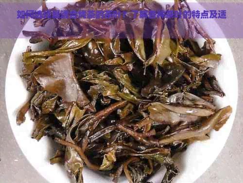 如何选择最适合烤茶的茶叶？了解各种茶叶的特点及适用场景
