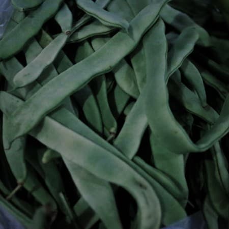 豆角的作用和功效 豆角营养价值有哪些